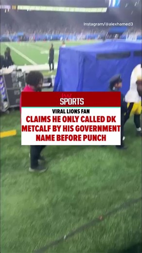 DK Metcalf Fan Altercation: A Detroit Lions Story