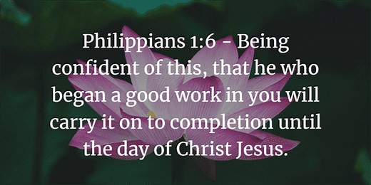 Philippians 1 Inductive Bible Study - Commentary And Questions