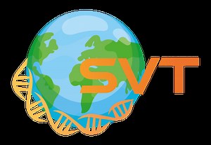 Cours : L’origine du génotype des individus - Vieterre