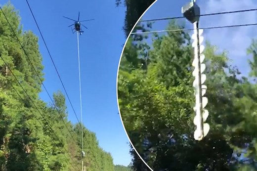 Watch this helicopter saw blaze through the treetops
