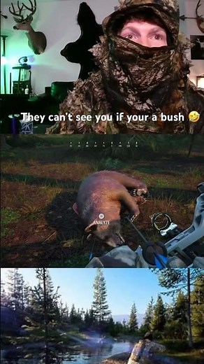 Hunting simulator 2
