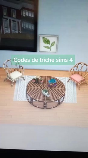 Sims_4 sur TikTok