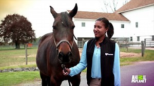 179K views · 2.8K reactions | No one said veterinary school was easy. This is Life at Vet U. | Animal Planet | Facebook