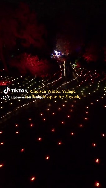 ✨ Five magical weeks to make memories ✨ Chelsea Winter Village is open this beautiful winter season, and every visit is a chance to create moments you will treasure. 🥰 Watch little ones experience their first light trail, battle it out on the curling rink, warm up together in the cosy Winter Village, and get creative at our festive workshops. 🎄 Make the most of this magical time while it is here 💛 #christmasinchelsea #londonchristmas #chelsea #christmasinlondon #londonchristmaslights
