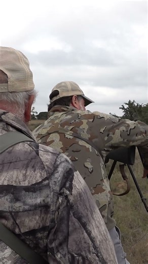 Springbok Hunting with Bowker Safaris