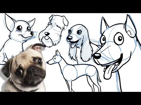 How to Draw a Cartoon Dog - All breeds, and on different angles!