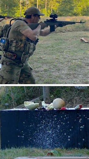 💥 Springfield M1A vs Cantalope