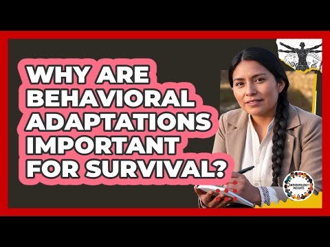 Why Are Behavioral Adaptations Important for Survival?