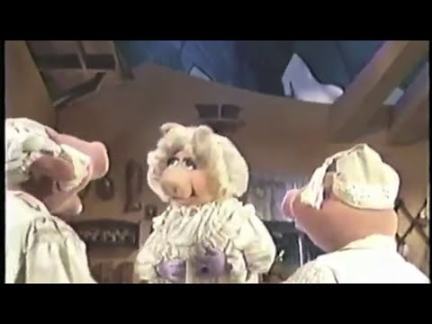 Point of View and Influence | 5th Grade Reading | eSpark Instructional Video