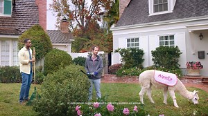 17 reactions · 6 comments | Spoiler alert: 蓮 #NoJinglesOrMascots | NJM Insurance Group | Facebook