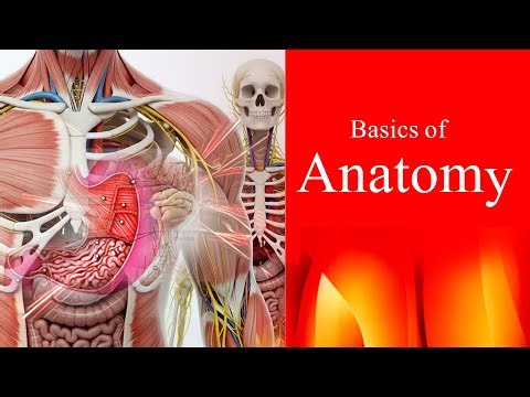 Basics of Anatomy explained by farooq sultan