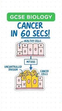 GCSE BIOLOGY - Cancer