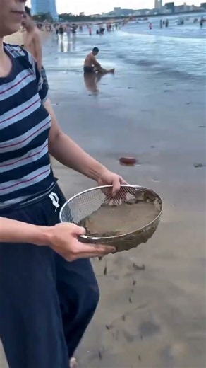 Finding Hidden Treasures in the Sand! 🌊😱 #treasuresearch #satisfying #treasuretrove #metaldetecting