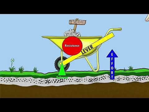 The 3 Classes of Levers || How we use levers in the world and our bodies || By: Kinesiology Kris