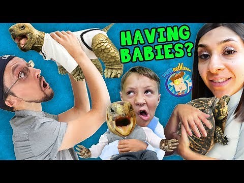 WE'RE HAVING MORE BABIES! FV Family SCREAMINGLY FUNNY Vlog