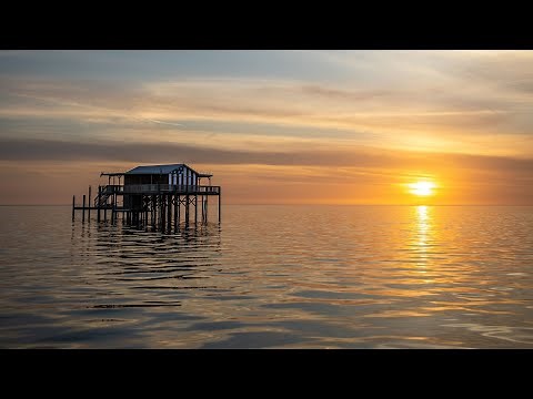 The Stilt Houses on Florida's Sports Coast | Travel in Pasco County