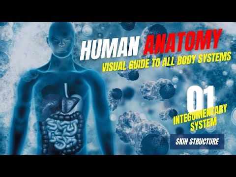 The Skin Explained: Epidermis, Dermis & UV Protection | Complete Guide to Healthy Skin