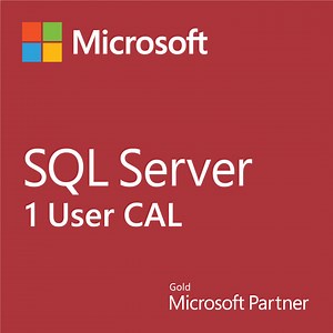 Microsoft SQL Server 2019 — 1-User CAL