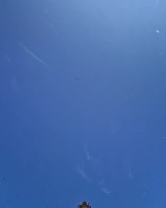 Summer content idea 💡 Press record, sink your camera to the bottom of a pool, wait for the surface to get smooth 🏊‍♂️ #GoProYourSummer awards recipient Thomas Hubener has it all figured out ☀️ Did you know that all of our cameras are waterproof out of the box without a housing? Learn more at GoPro.com | GoPro