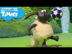 Timmy's Favourite Things / Let's Make a Den | Learning Time with Timmy | Pre-School Cartoons