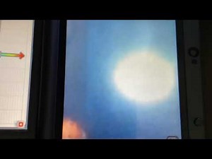 Finding Nemo Angler Fish (Speed Up)