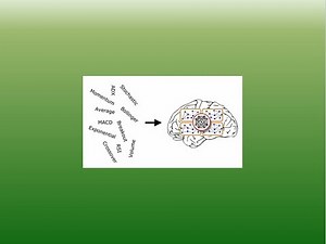 NeuroShell Trader Algorithmic Trading Software