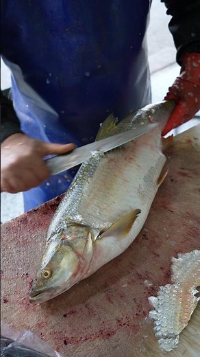 How to Fillet and Cut Fish the Way Fishmongers Do It