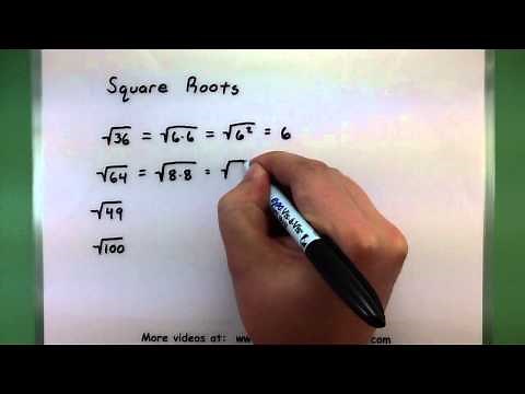 Basic Math - Square Roots