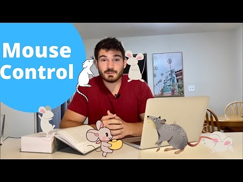 How To Get Rid of Mice | EVERYTHING You NEED to Know