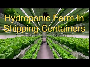 Hydroponic Farm In Shipping Containers