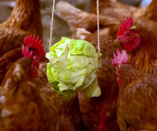 Transform Your Farm with These Innovative Tips! | Green Bean