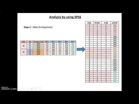 Split Plot analysis using SPSS