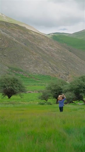 Handmade Herbal Remedies from Over 100 Herbs