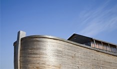 Noah | My Jewish Learning