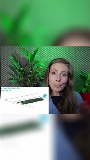 Unlock the Secrets of Swale Vegetation