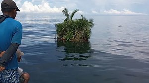 Fishermen discover 'smallest island in the world' in Indonesia