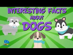 Fun Dog Facts for Kids Most Interesting Facts