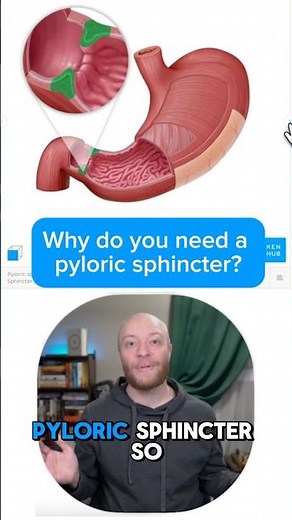 Why do we need a pyloric sphincter?