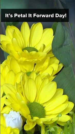 Local florist spreading kindness with 'Petal it Forward'