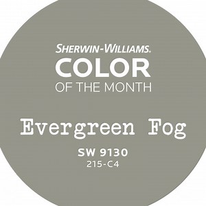 290 reactions · 70 shares | Cozy up with the calm, grounded optimism of Evergreen Fog SW 9130 (215-C4), our January Color of the Month—and 2022 Color of the Year. | Sherwin-Williams for Design Pros | Facebook