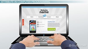 What is an Attribute in Computer Programming? - Definition & Examples