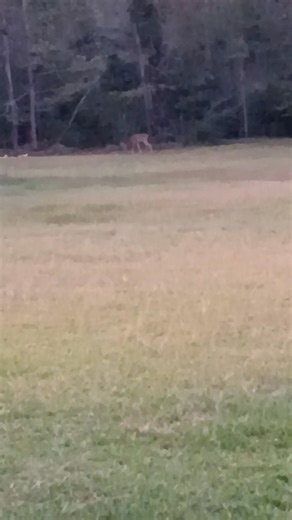 16 reactions · 5 comments | Earlier today. | Angie Davis | Facebook