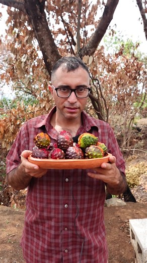 En este video te menciono algunos de los beneficios de la pitaya, fruta de 𝑆𝑡𝑒𝑛𝑜𝑐𝑒𝑟𝑒𝑢𝑠 𝑞𝑢𝑒𝑟𝑒𝑡𝑎𝑟𝑜𝑒𝑛𝑠𝑖𝑠. Fuentes: https://www.mdpi.com/2311-7524/10/5/451 https://www.scielo.org.mx/scielo.php?pid=S0187-73802020000300325&script=sci_arttext&tlng=en #pitaya #frutasexóticas #frutas #salud #nutricion #fruit #health | Frutas y Plantas Exóticas