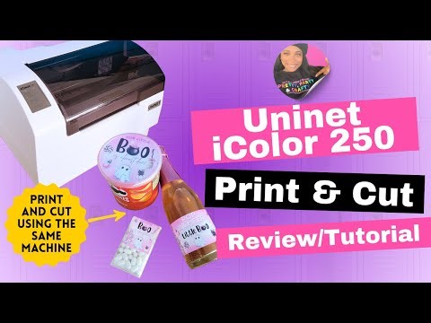 Can This Printer Cut AND Print Sticker Labels? Uninet iColor 250 Test