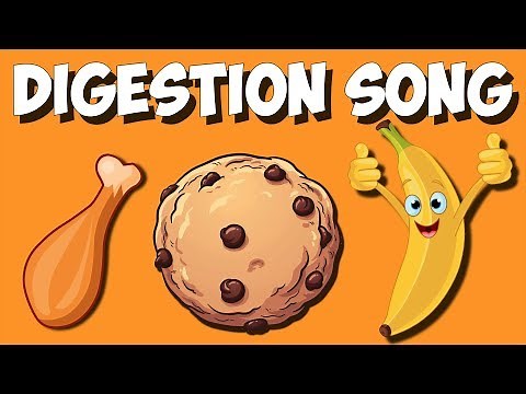 Digestive System Song