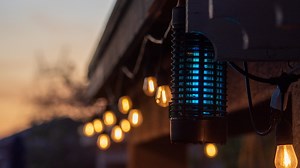 Here's why bug zappers aren't good at controlling mosquitoes