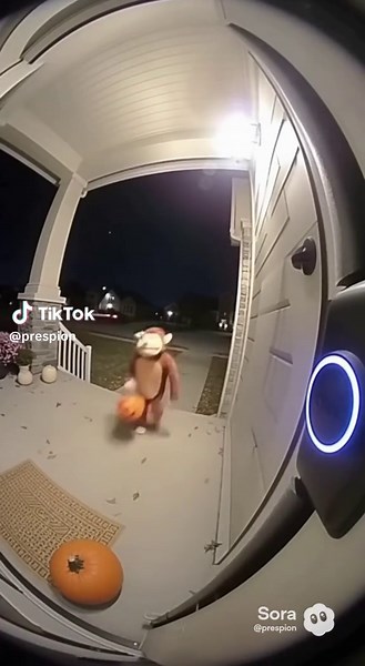 Jeffy goes trick or treating 😂 #sml #smljeffy #smltiktok #jeffy #funny