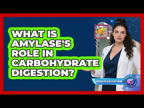 What Is Amylase's Role in Carbohydrate Digestion?