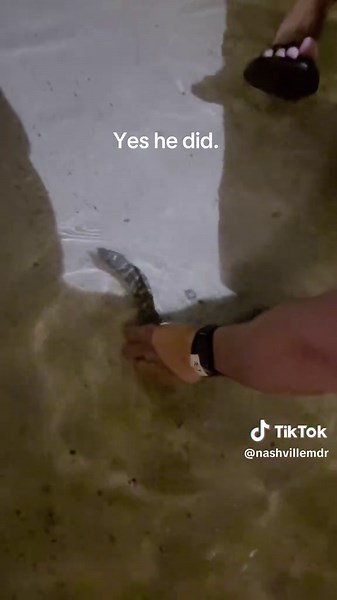 Dining Experience at Flying Fishbone in Aruba