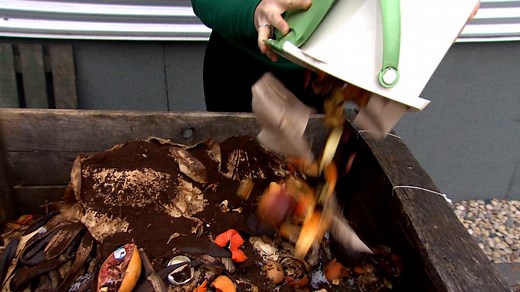 Delay of organic-waste collection